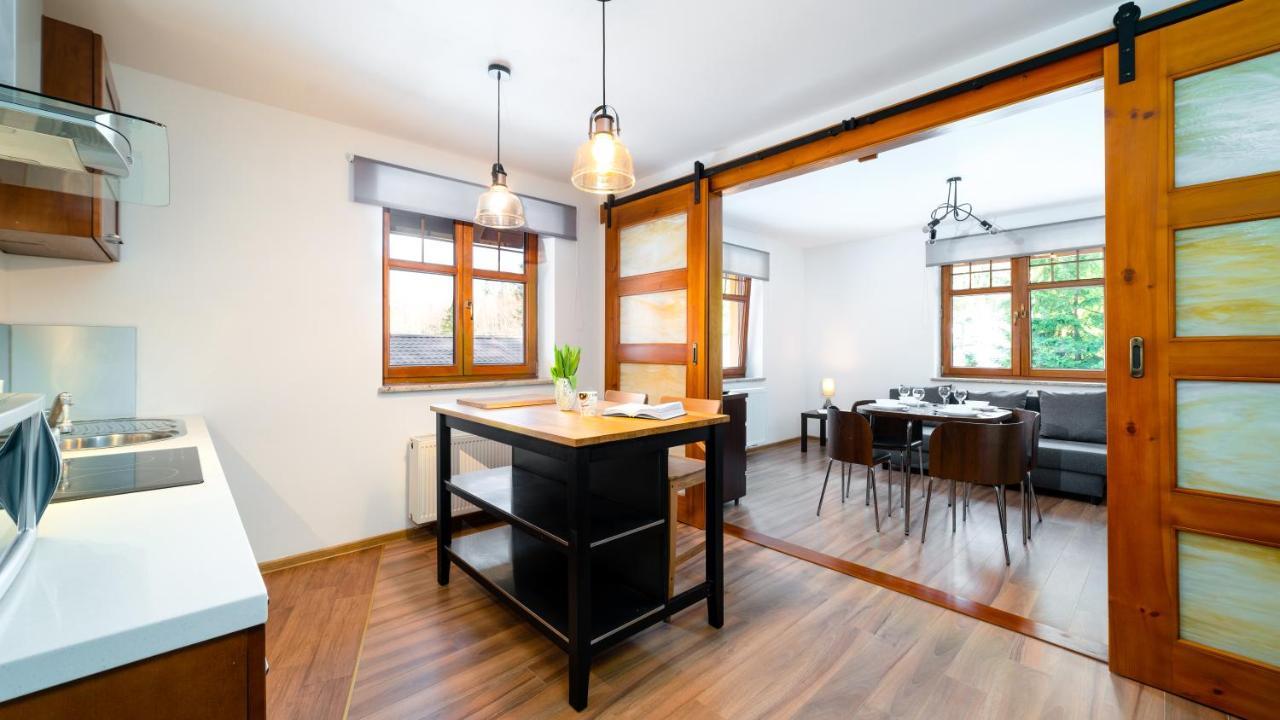Apartament Przy Kamienczyku Szklarska Poręba Buitenkant foto